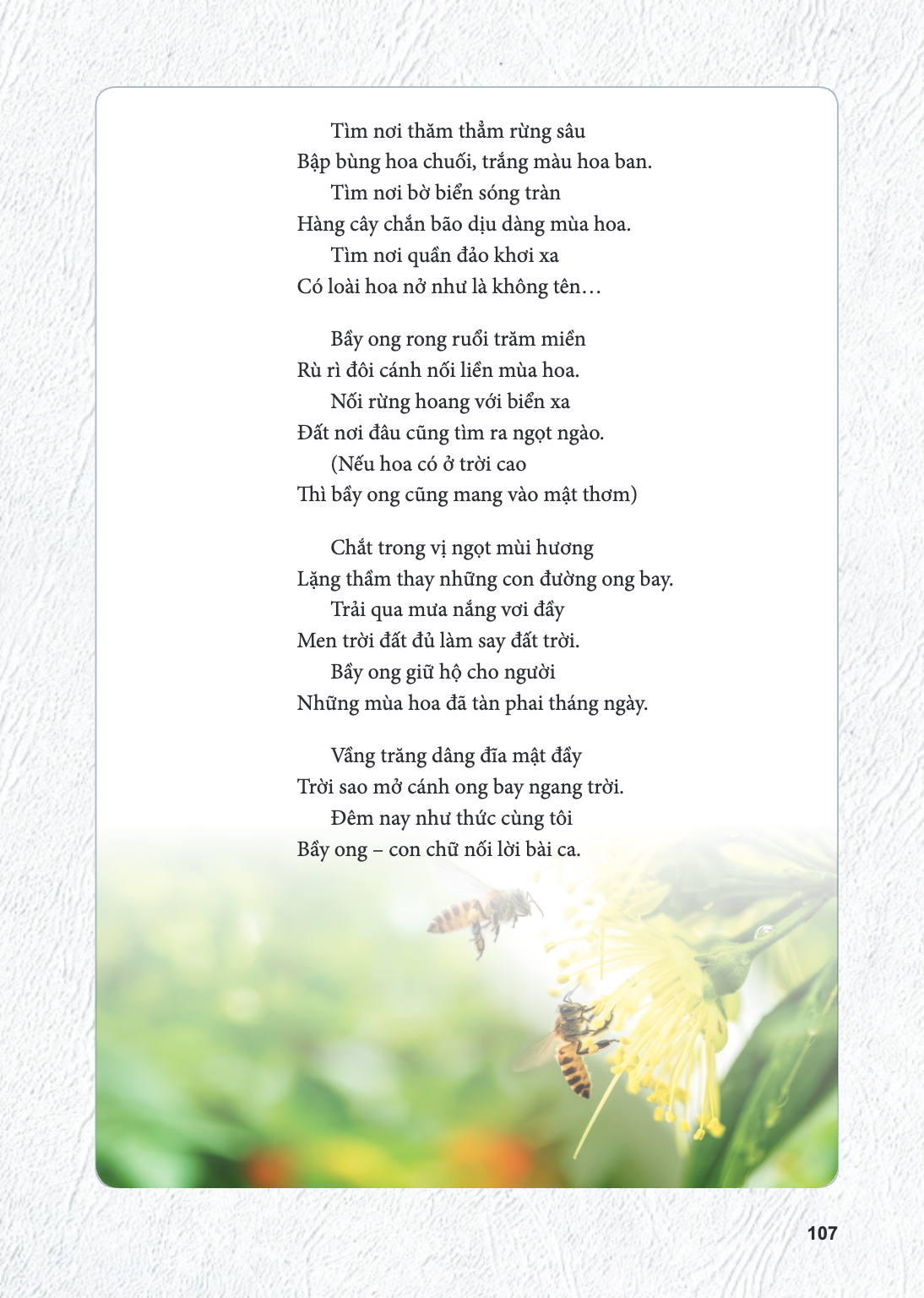 Tìm nơi thăm thẳm rừng sâu Bập bùng hoa chuối, trắng màu hoa ban. Tìm nơi bờ biển sóng tràn Hàng cây chắn bão dịu dàng mùa hoa. Tìm nơi quần đảo khơi xa Có loài