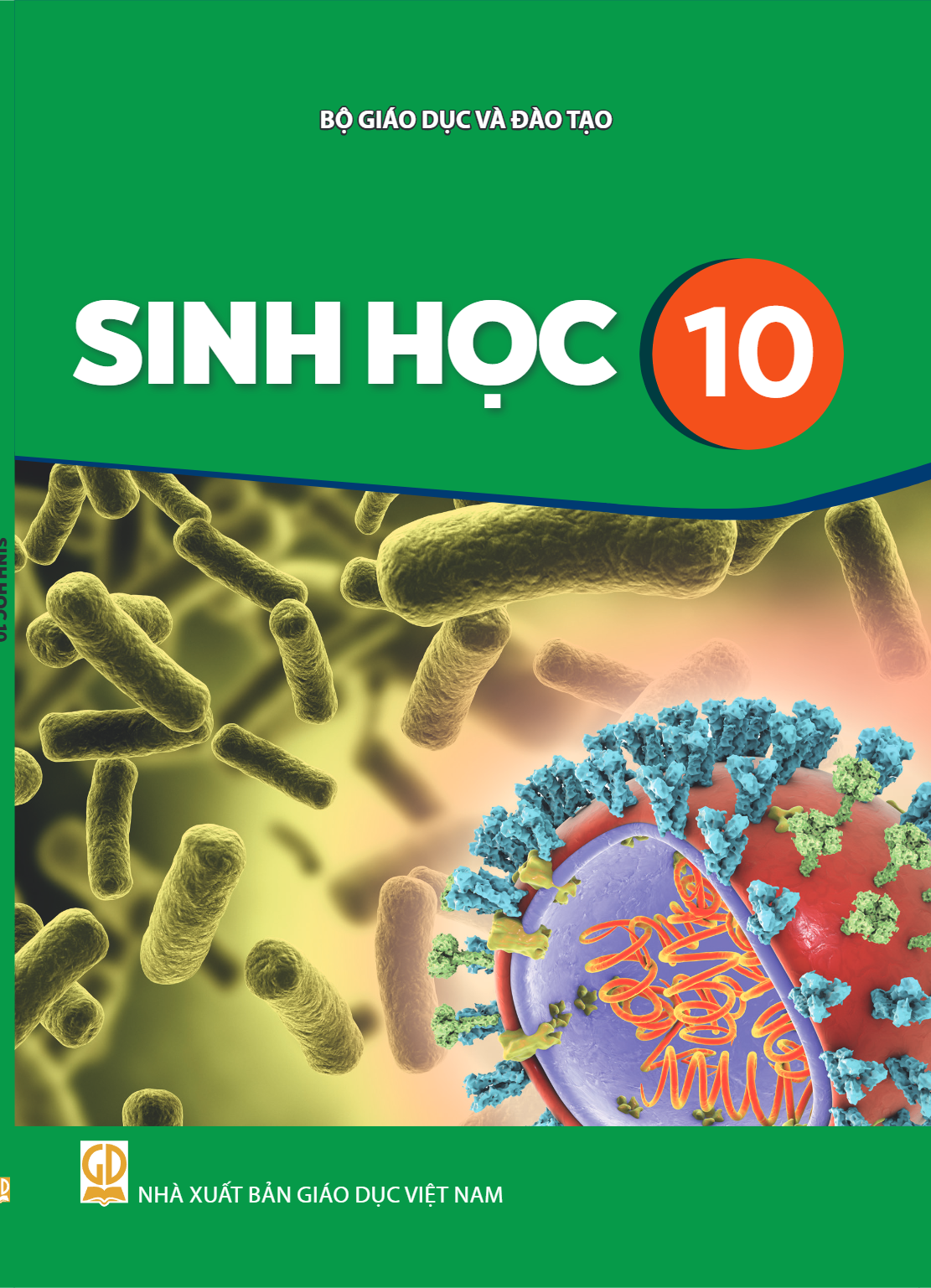 cover-first