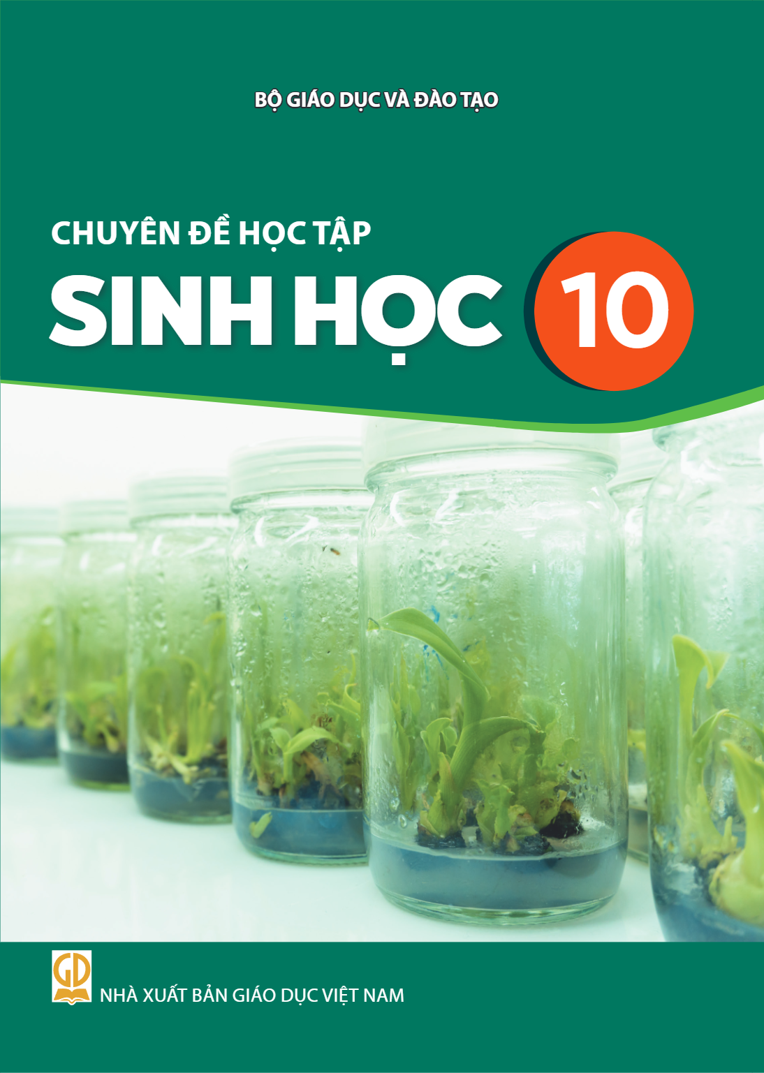 cover-first