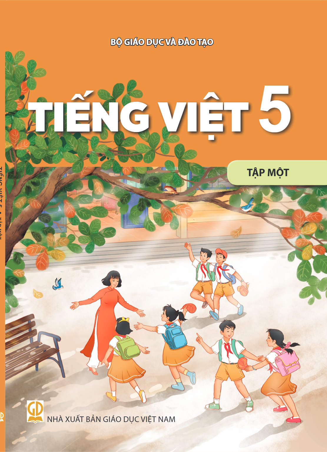 cover-first