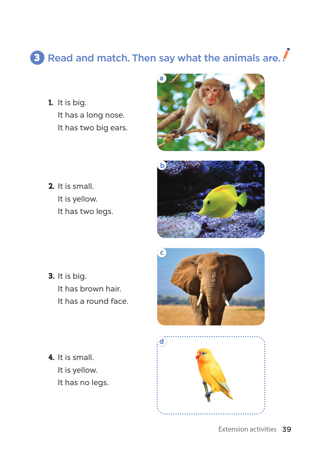 3 Read and match. Then say what the animals are. a It is big. It has a long nose. It has two big ears. b It is small. It is yellow. It has two legs. c It is big