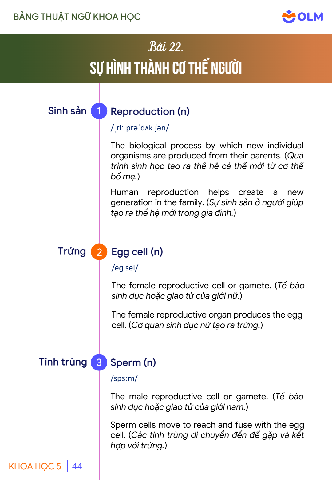 Trang 44