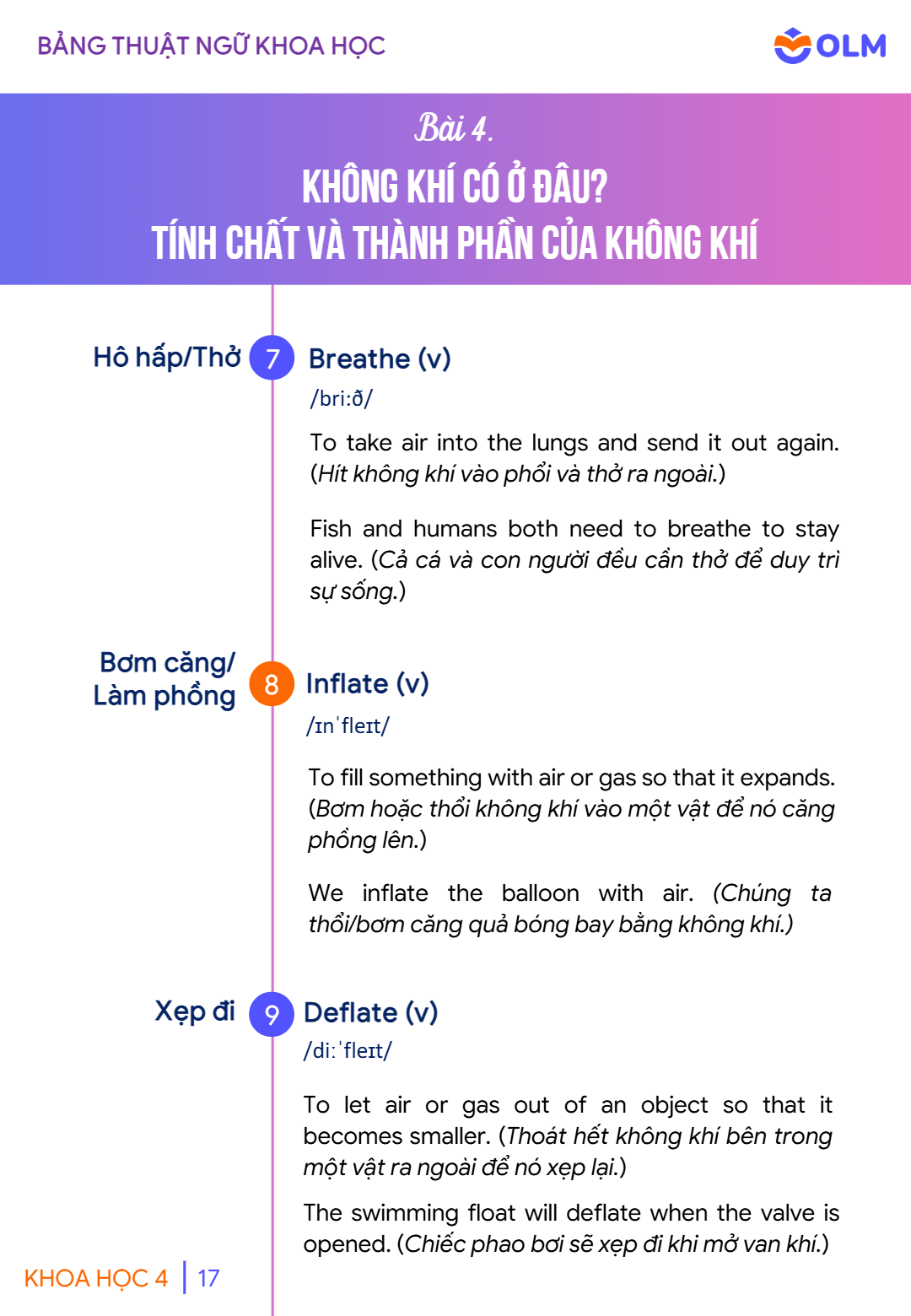 Trang 17