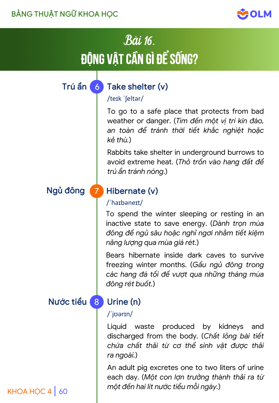 Trang 60