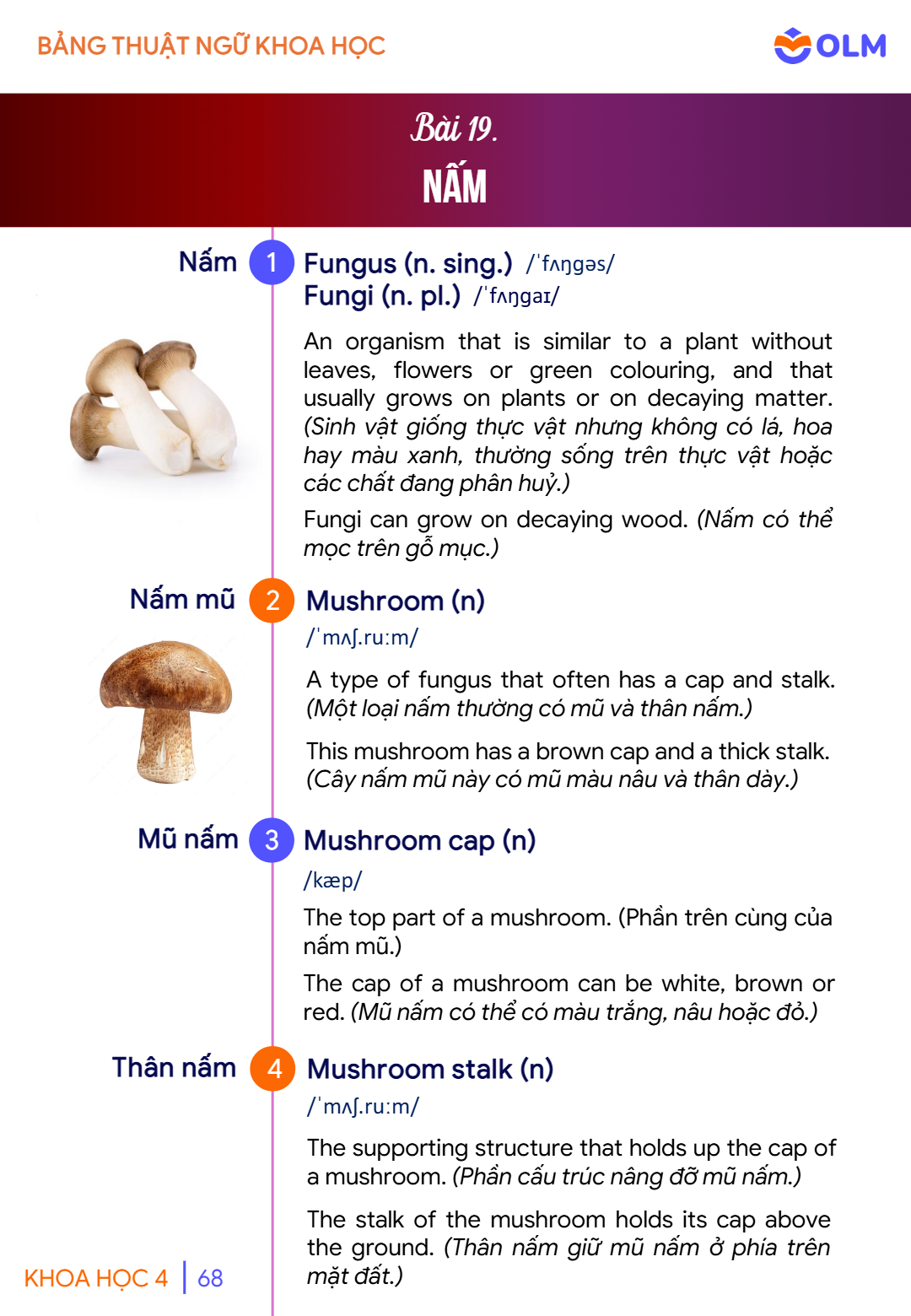 Trang 68