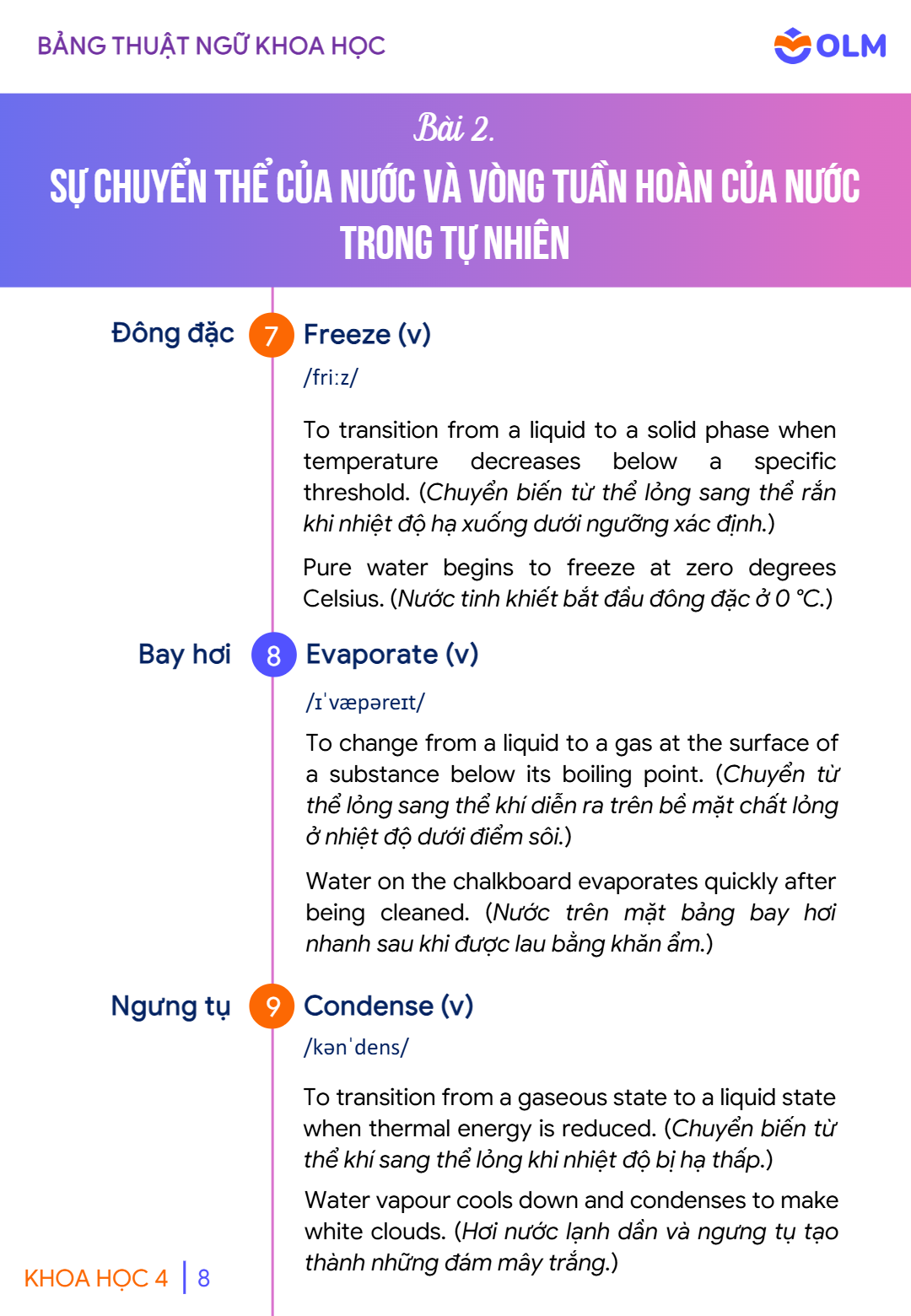 Trang 8