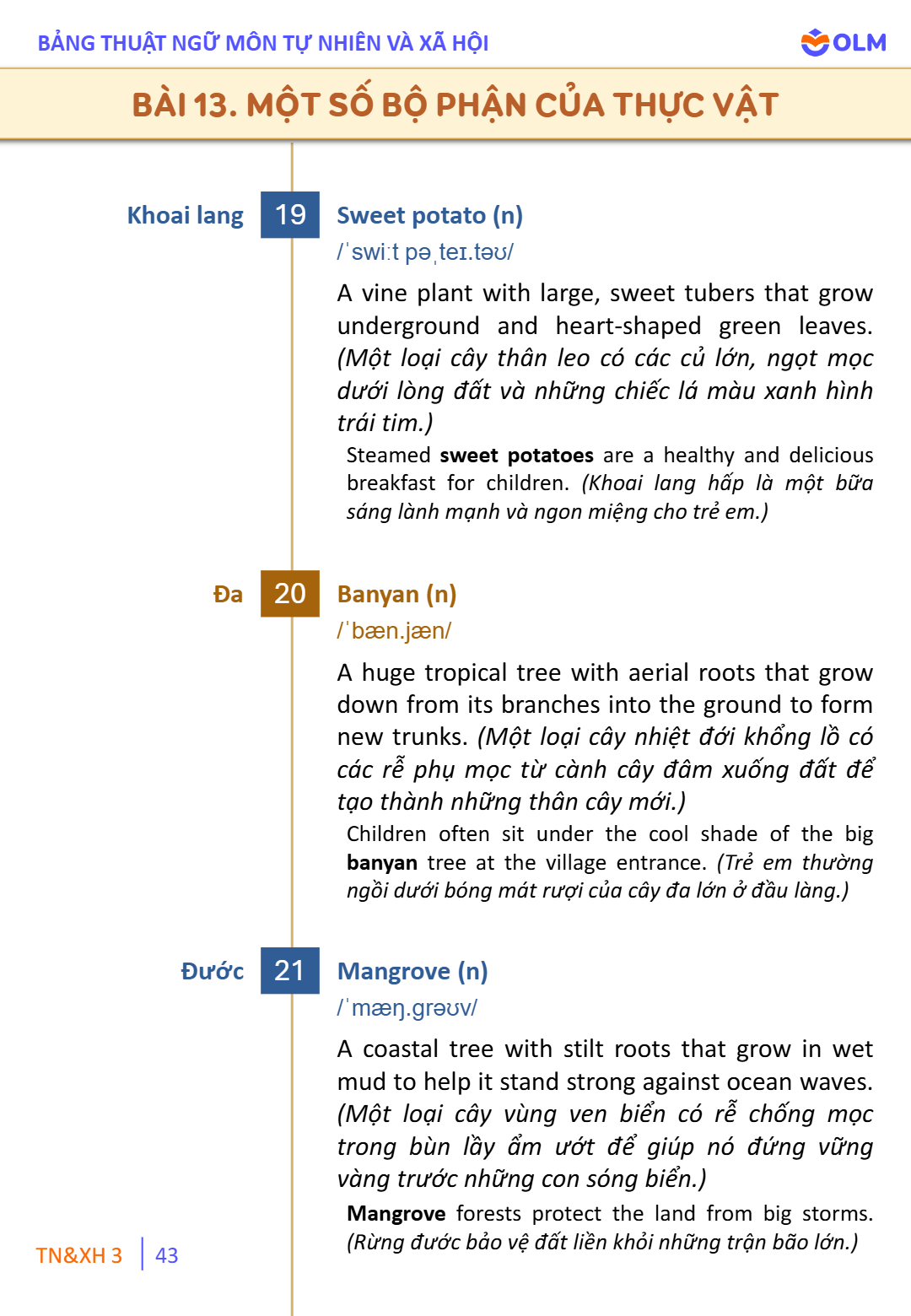 Trang 43