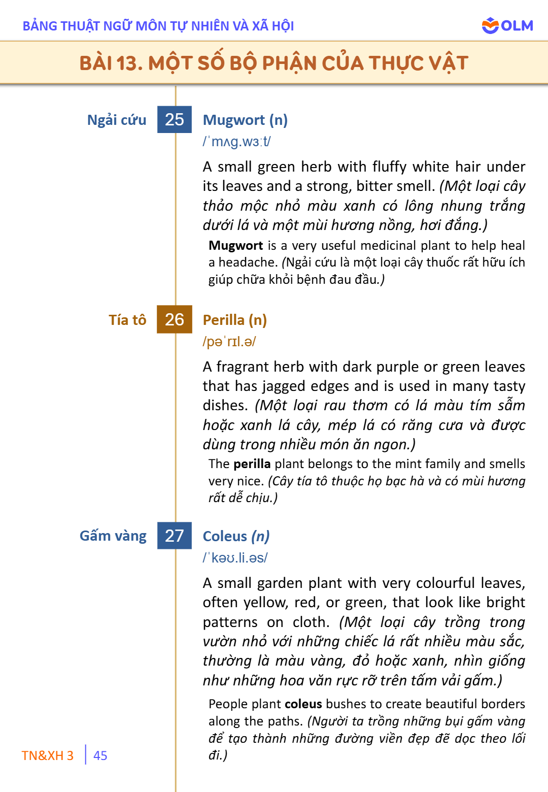 Trang 45