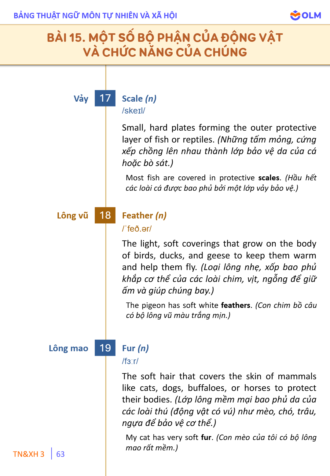 Trang 63