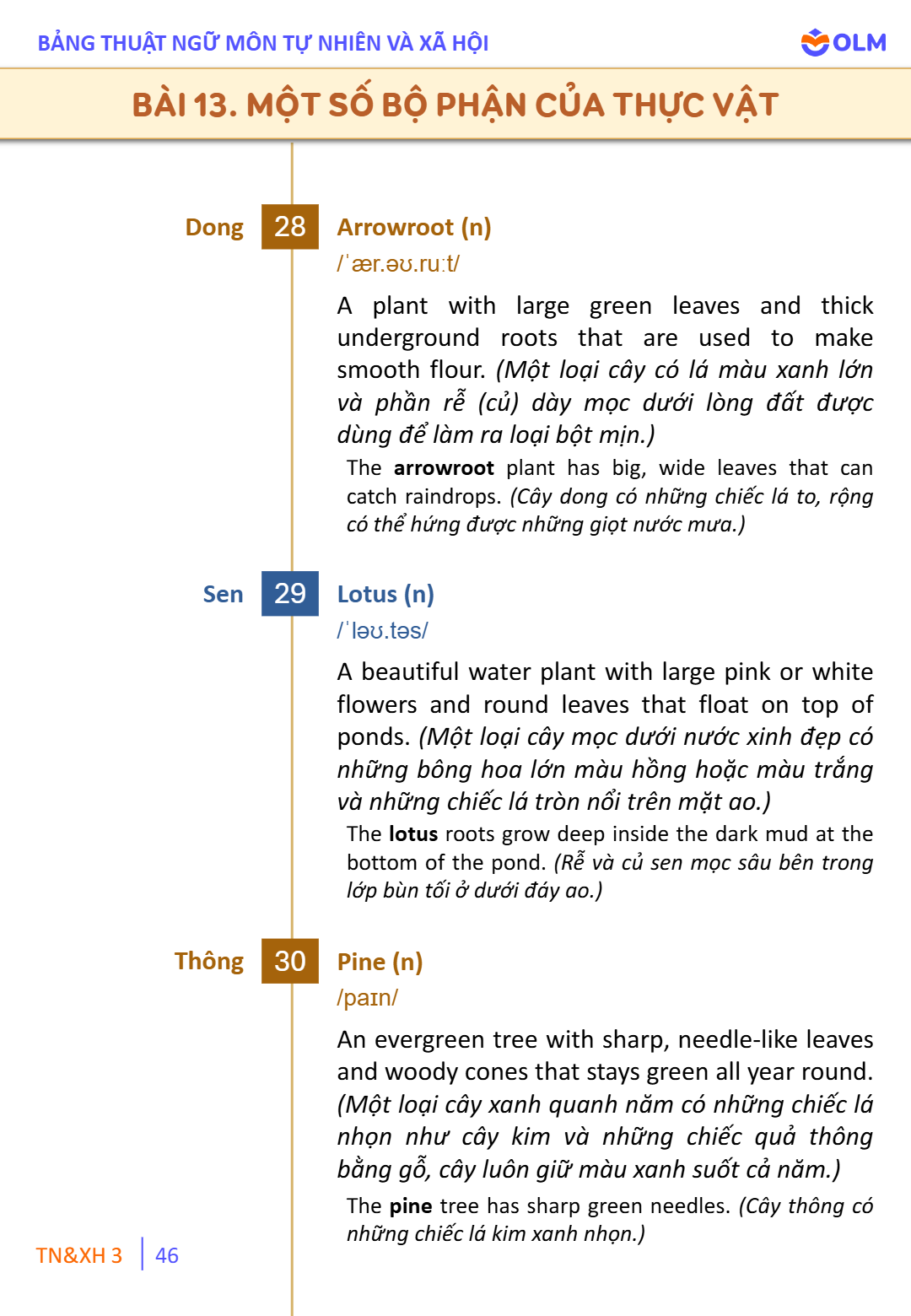 Trang 46