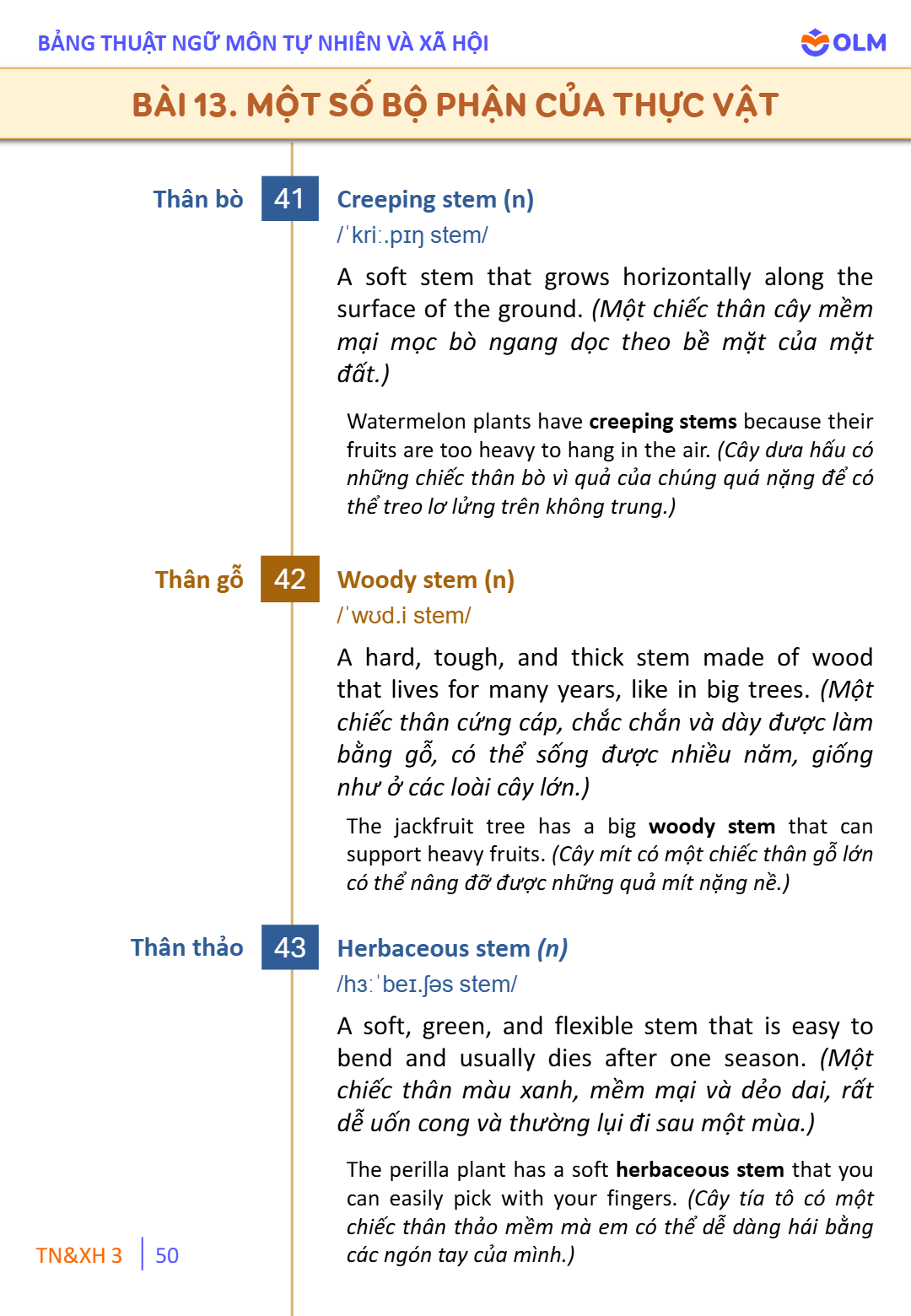 Trang 50